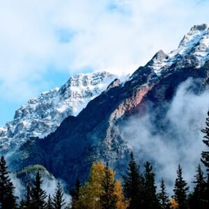 Scenic view of snow-capped mountains with mist and trees in the foreground, perfect for nature lovers.